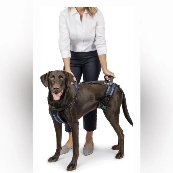 🆕 [PetSafe] CareLift Handicapped Support Dog Harness Sz: Large - Picture 3 of 7